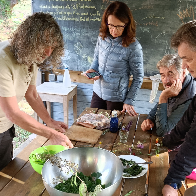 Plats et salades préparés à partir de plantes sauvages