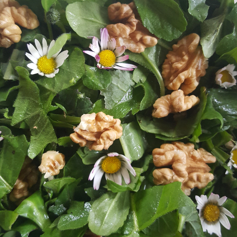 Cuisine de plantes sauvages — photo 10