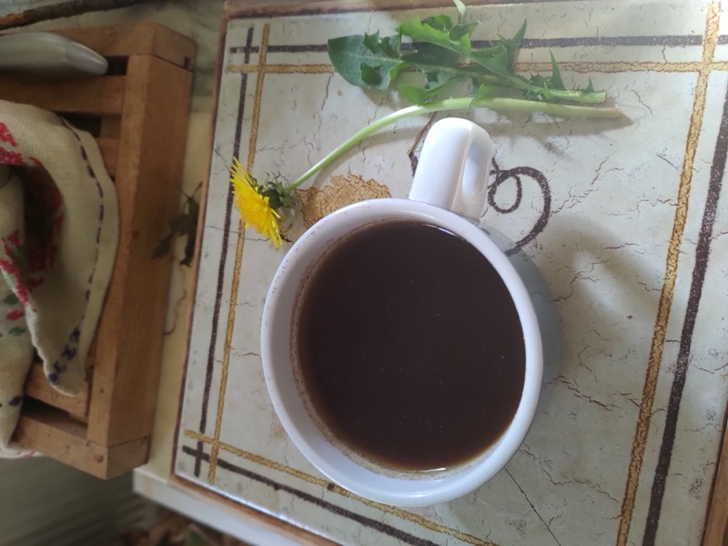Cuisine de plantes sauvages — photo 13