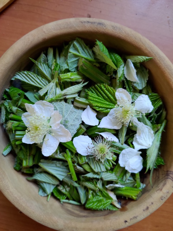 Cuisine de plantes sauvages — photo 19