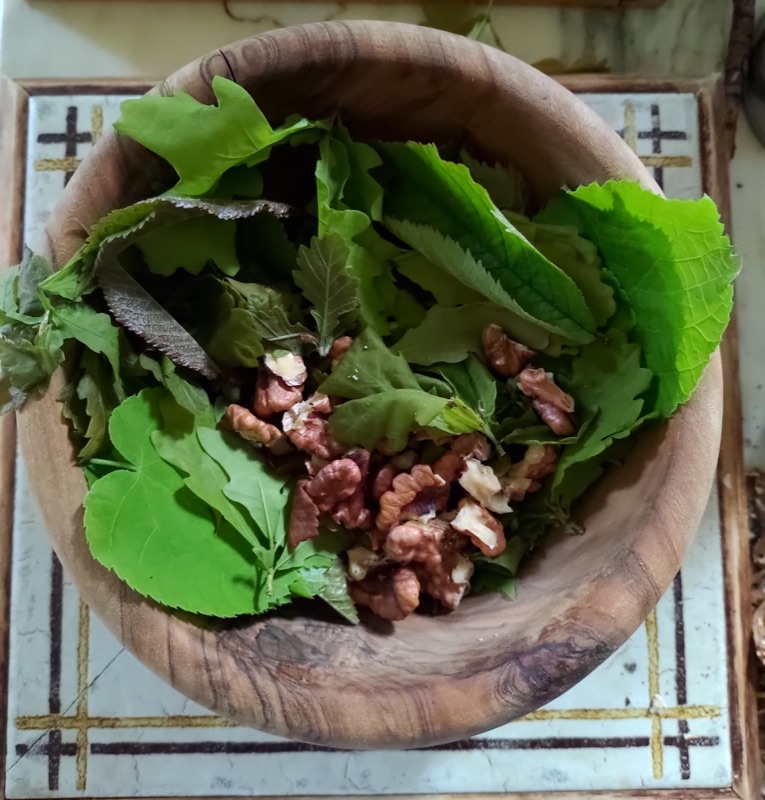 Cuisine de plantes sauvages — photo 22