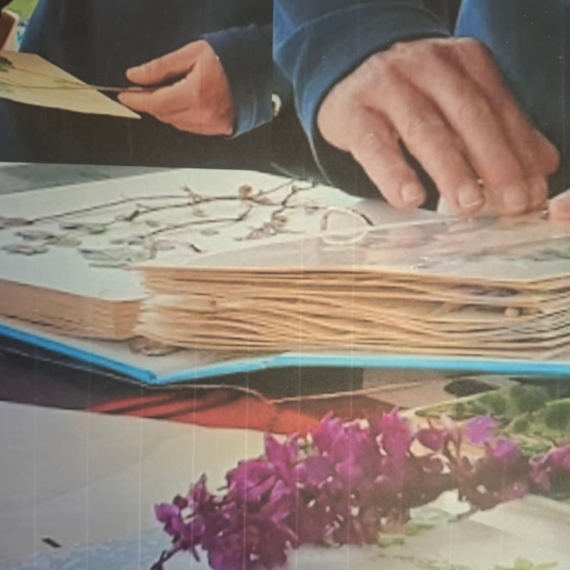 Planche d'herbier réalisée pendant l'atelier