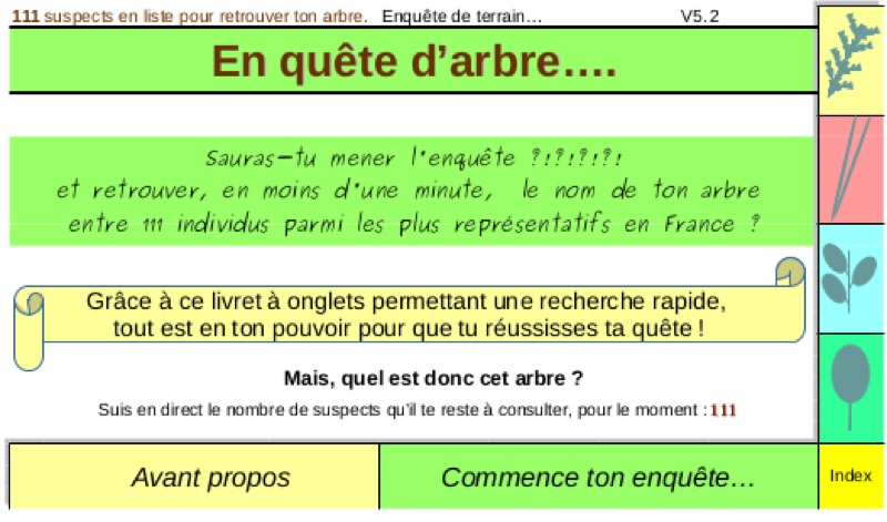 En quête d'arbre — photo 3
