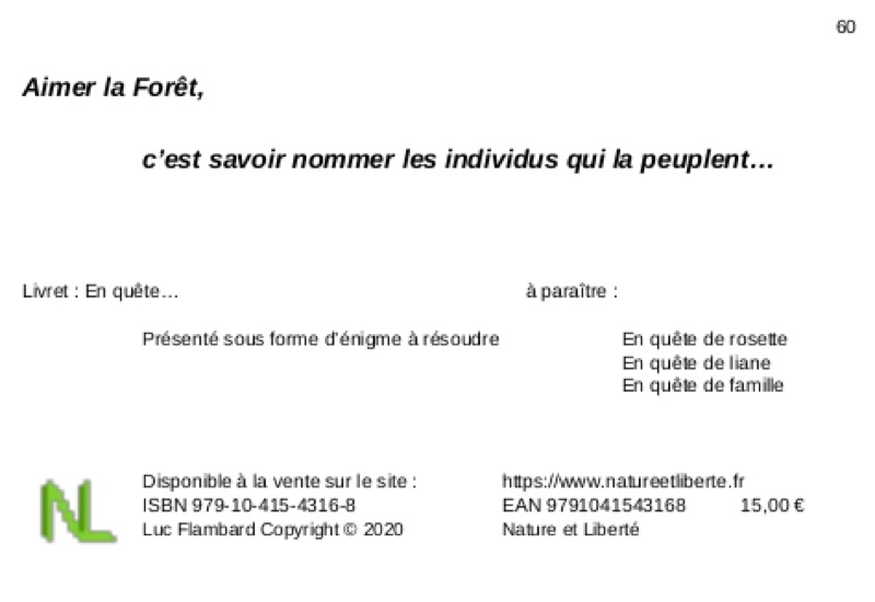 En quête d'arbre — photo 4