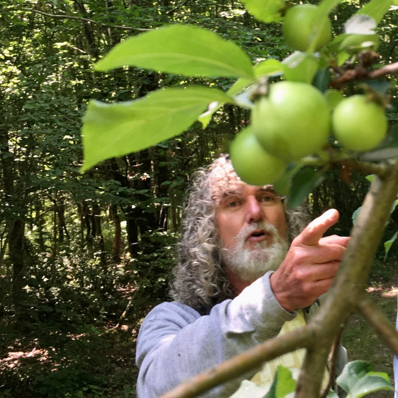 Observation d'un arbre pendant l'atelier En quête d'arbre