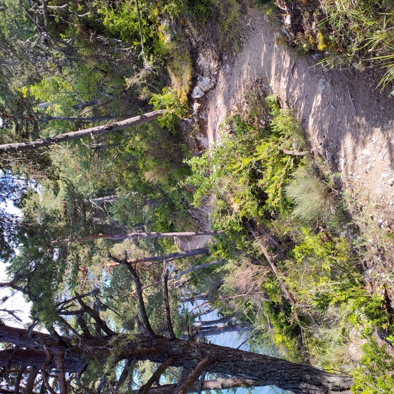 Le grand voyage de la vie — photo 6