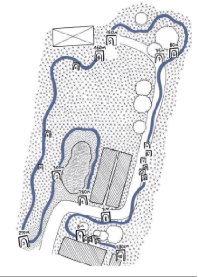 Schéma du chemin de l’évolution